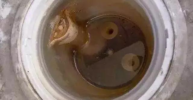饮水机不清洗的危害 饮水机不清洗的危害